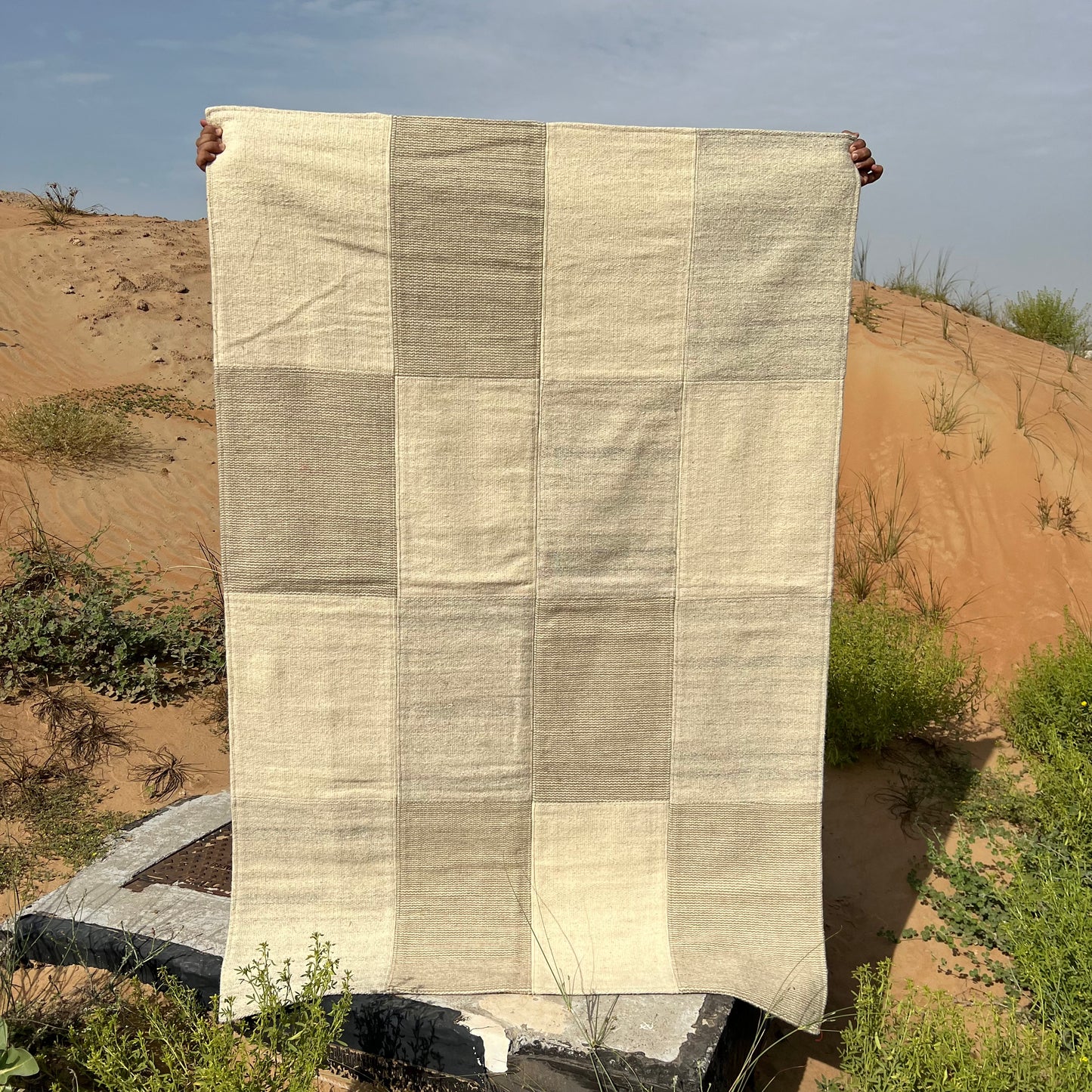 Checkered Rug with Beige Tones