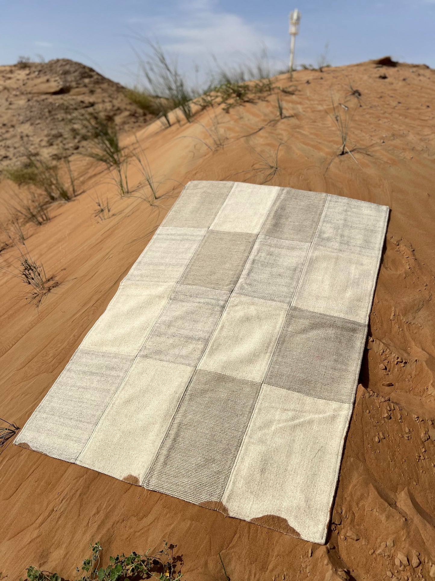 Checkered Rug with Beige Tones