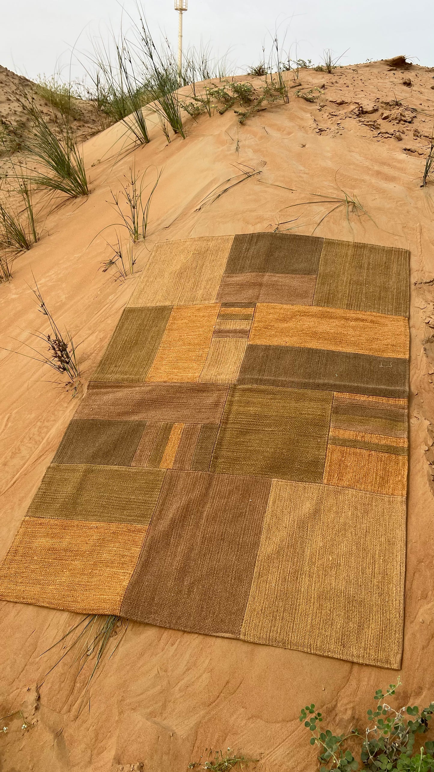 brown rug big