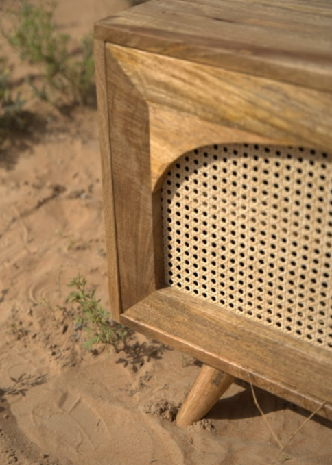 Dome Shaped 4 Door Rattan TV Unit
